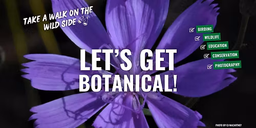 Take a Walk on the Wild Side: Let's Get Botanical!