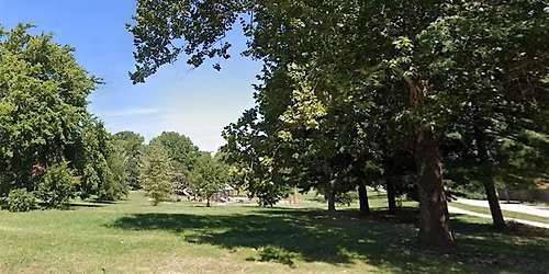 St. Louis Place Tree Blitz