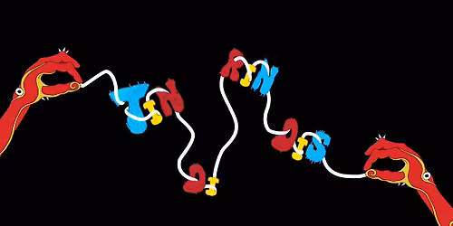 FESTIVALIS TINDIRINDIS 2025. Programa 19NP \u2013 FESTIVALIO NUGAL\u0116TOJ\u0172 PROGRAMA