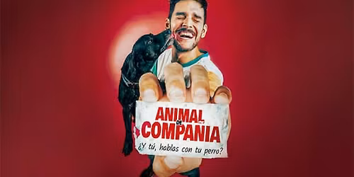 Animal de Compa\u00f1\u00eda