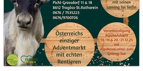 Trag\u00f6sser Adventmarkt