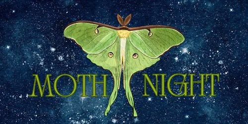 Moth Night