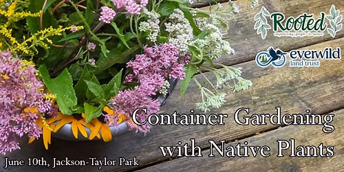 Container Gardening with Native Plants