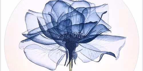 Acrylic Ink Workshop: Transparent Flowers