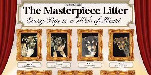 Meet the Masterpiece Litter