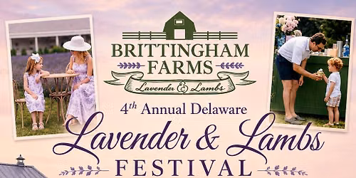 4th Annual DE Lavender & Lambs Festival 