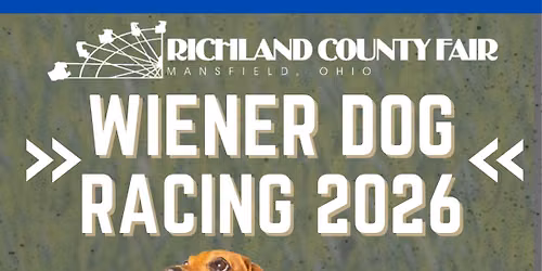 Wiener Dog Race