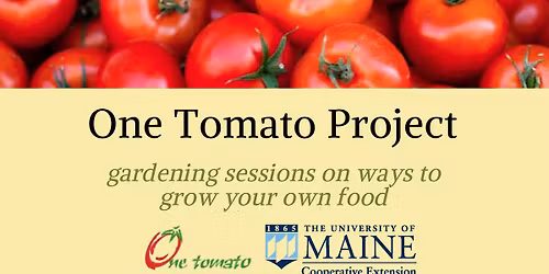 One Tomato Project