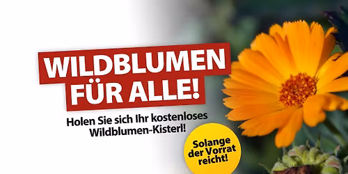 WILDBLUMEN F\u00dcR ALLE