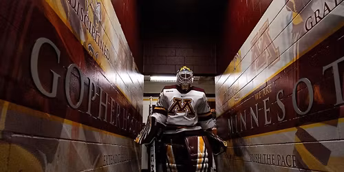 Wisconsin Badgers at Minnesota Golden Gophers Womens Hockey at Ridder Arena