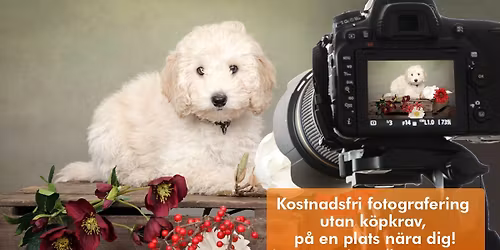 Kostnadsfri djurfotografering - Arken Zoo Karlstad V\u00e4lsviken