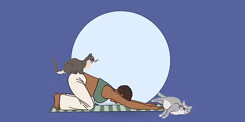 Cat Yoga