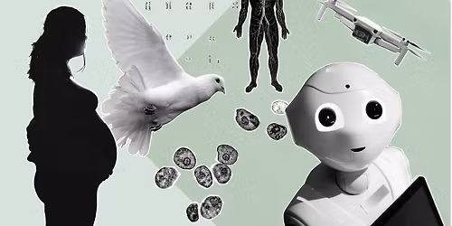 Immunf\u00f6rsvarets dolda spelare