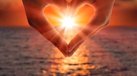 Brain Tap: The Science of Love and Attraction