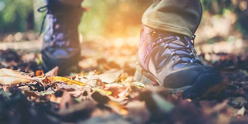 Seasonal stroll (Trumpington Meadows Nature Reserve)