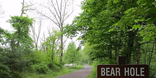 Bear Hole Trail Drive-Thru @ Swatara State Park 