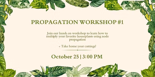Propagation Workshop #1