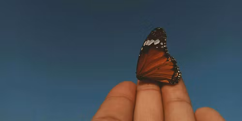 Poetry Together: Facing our Fears