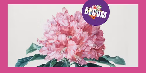 "Analytische Sch\u00f6nheit" \u00b7 Er\u00f6ffnung \u00b7 Neue Galerie Graz \u00b7 BLOOM