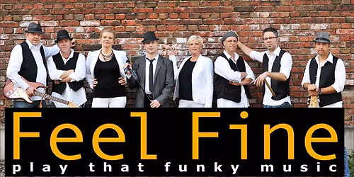 Feel Fine - A Tribute To Funk & Soul