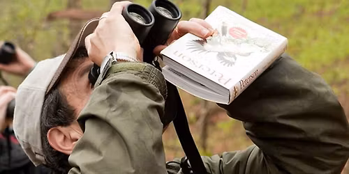 Spring Birding Hike