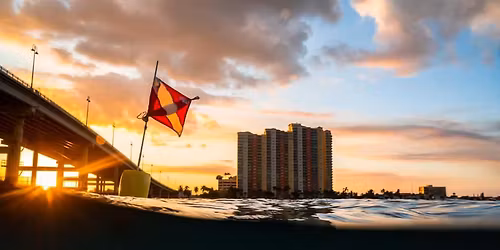 Force-E Blue Heron Bridge Night Dive