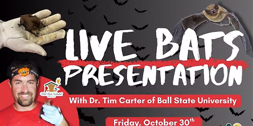 Live Bats Presentation with Wild Birds Unlimited