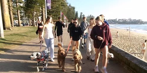 Eureka Community Dog Walk - Rushcutters Bay