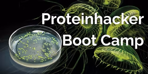 Proteinhacker Boot Camp