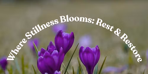 Where Stillness Blooms: Rest and Restore