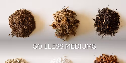 FREE SOILESS MEDIUMS CLASS