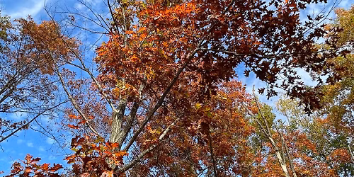 OAKtober Hike