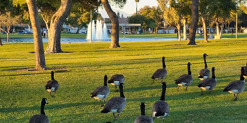 Identity In Christ: Walk, Talk, and Mingle