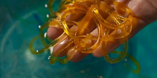 Seaweed Yarn Crafting with Elle | FREE event