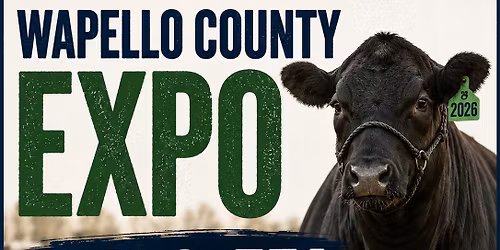 2026 Wapello County Expo 4-H and FFA Beef Show