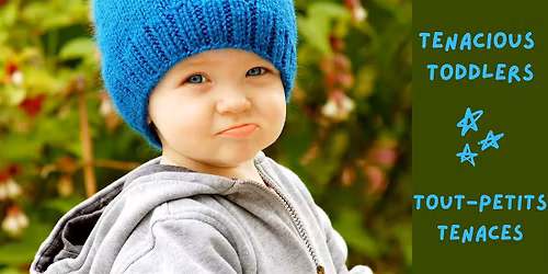 Tenacious Toddlers \/ Tout-petits tenaces