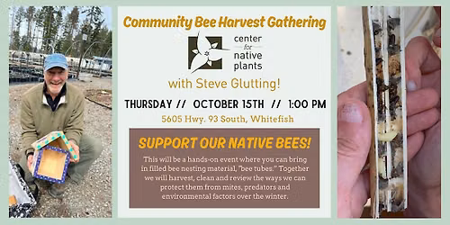 Community Bee Harvest Gathering
