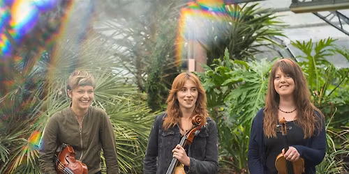 Cambridge Jazz Festival  at Hot Numbers: J.A.M. String Collective