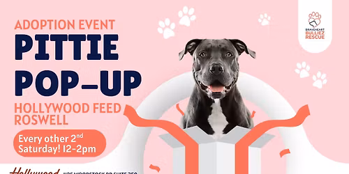 Pittie Pop Up! Adoption Event at Hollywood Feed Roswell