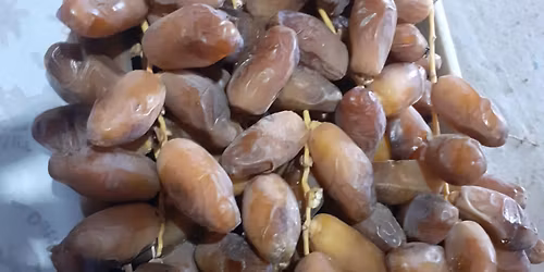 \u062f\u0642\u0644\u0629 \u0627\u0644\u0646\u0648\u0631 