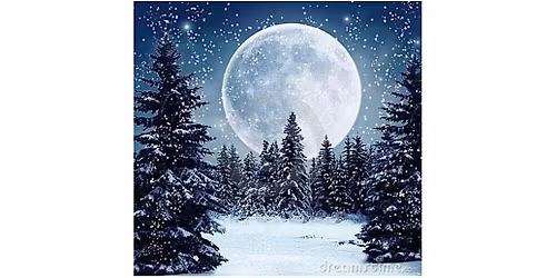 Bob Ross Oils Class Sunday  Dec. 28th  9am - 3pm $95 Includes All Materials