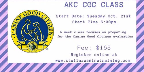 AKC Canine Good Citizen Class