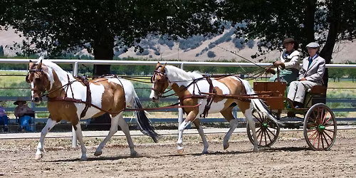 Driving Clinic with Patricia Demers