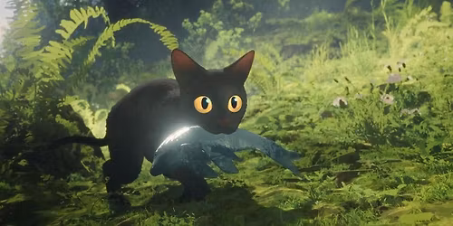 \u00c1rad\u00e1s\/Flow