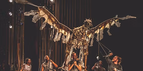 STRAVINSKY\u2019S FIREBIRD