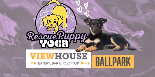 Rescue Puppy Yoga - ViewHouse Ballpark