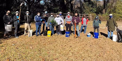 Invasive Plant Pull at Fred George Park and Greenway