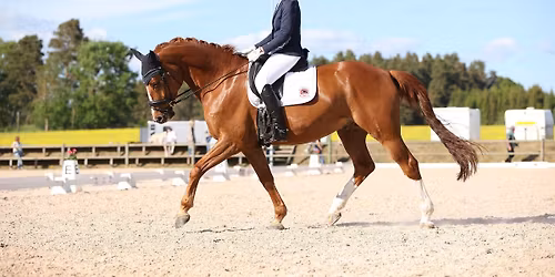 Sk\u00f6na Maj Dressyrt\u00e4vling