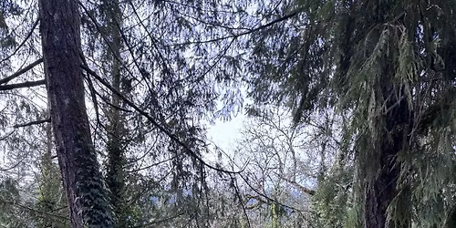 LAKESHORE TRAIL CLEANUP 