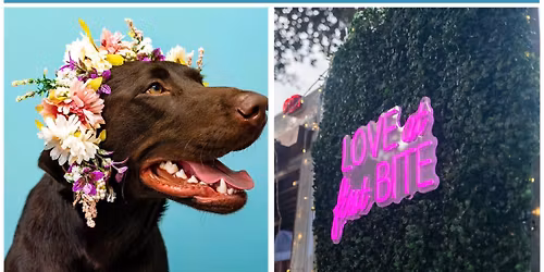 Carrollton Dessert Truck Event 